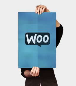 Woo Logo